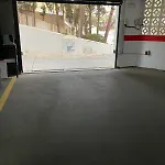 Alexandri トレモリノス